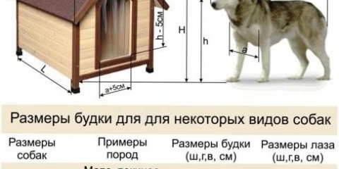 Kako napraviti topli štand za psa vlastitim rukama